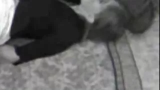 A menina pulou xvídeos pornô das coroas no pau do cara com prazer