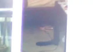 Gostoso mulheres pau batendo punheta junto com um pornodoido coroas amigo Aleatório